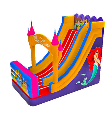 Parque de diversões inflável Desneyland Princess Slide para aluguel